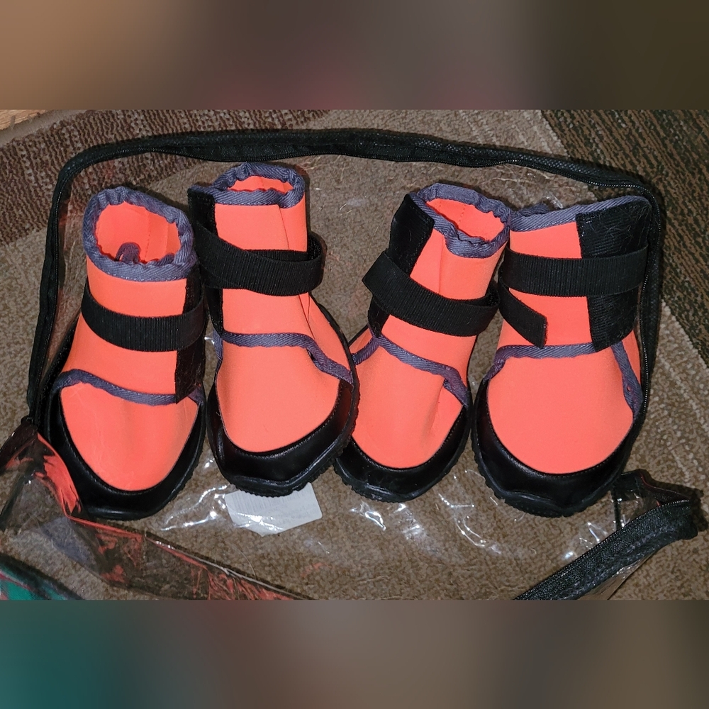 Neon Orange and Black Dog Boots